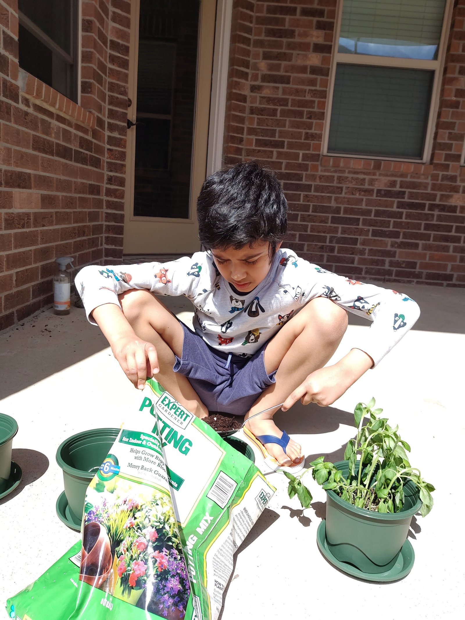 Ayaan's Houston garden
